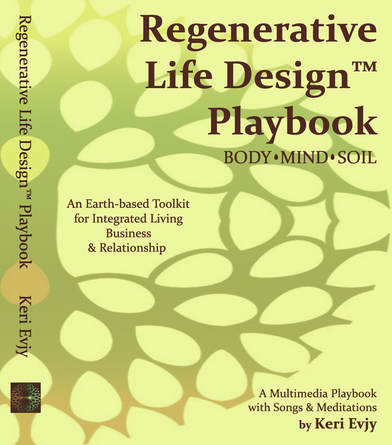Playbook - Regenerative Life Design